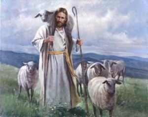 goedeherder